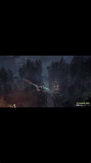 THE MAGIC BEGINS ✨