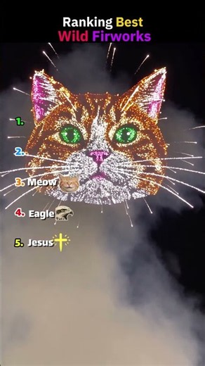 Ranking Best Wild Fireworks!