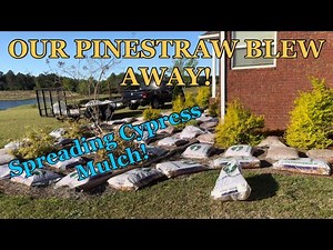 No More Pinestraw!!! Evergreen Cypress Blend Mulch in the Flowerbeds!