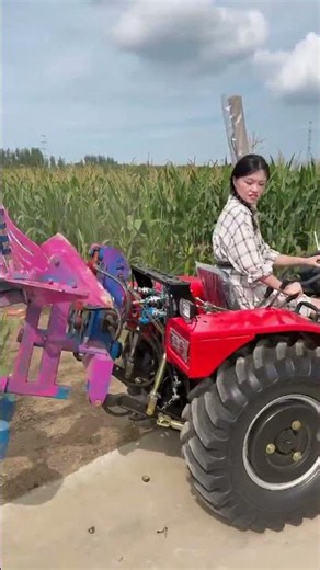 904 Greenhouse King, a mini-tractor! Equipped with 6 plowshares, it gets to work in the fields!