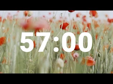 57 Minute Timer with Soothing Music | Stress Relief Countdown Clock