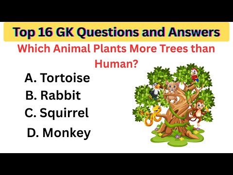 TOP 16 GK Questions and Answers | Interesting General Knowledge| GK | GK Questions|