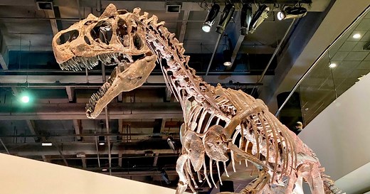 Free museum days in Houston: When and how to visit