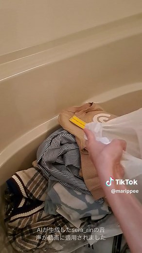 SHEIN開封中にトコジラミが出現！対策は？
