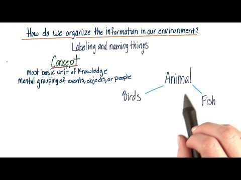 Mental rotation - Intro to Psychology