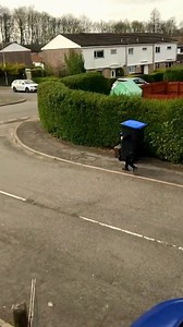 680K views · 5.8K shares | So some of you are BORED bored huh... | Ridiculousness | Facebook