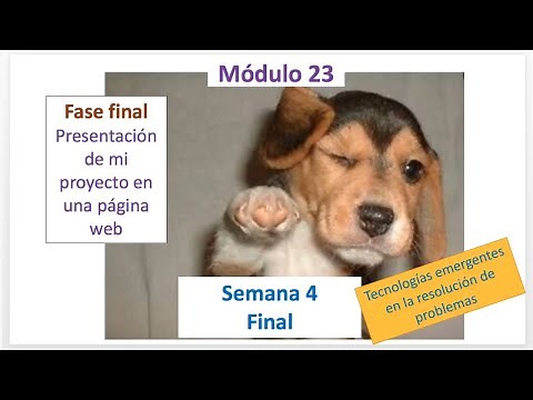 MÓDULO 23 ▶ Semana 4 ▶ Fases Final