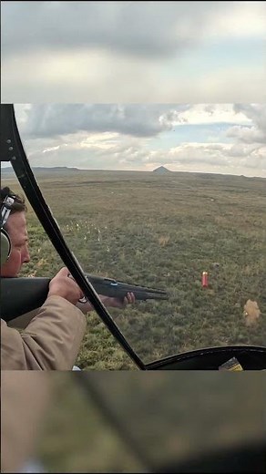Intense Springbok Culling From The Helicopter #helicopterhunting #wildlife