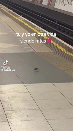 Videos de 🌸我想自杀 🌸 (@fluttershy_flutt) con “sonido original - lu”