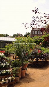 Stepping into Petersham Nurseries is to enter a world unlike any other. A destination that stretches the boundaries of what is created, sourced, and served, inspiring the senses and stirring the imagination. A place of quiet aspiration, where beauty, nature, and thoughtfulness meet. | Petersham Nurseries