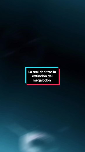 La realidad detrás de la extinción del megalodón