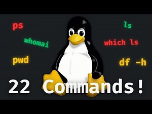 Linux Commands Every Beginner Must Know in 1min