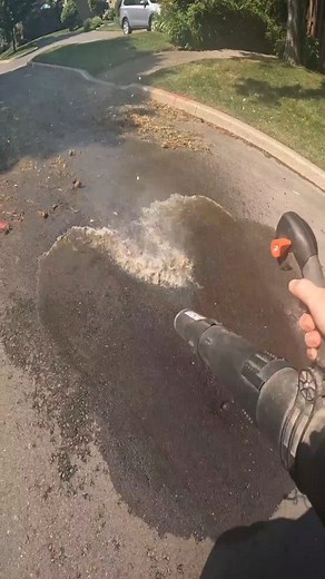 @landscaping_daily on Instagram: "Satisfying cleaning with my echo9010 leafblower! #cleaning #cleanup #landscaping #echo #satisfying"