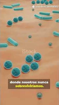 Animales que Viven Sin Oxígeno #Microbios #Anaerobios