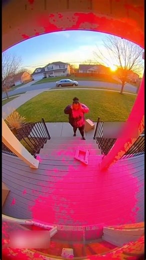 The Funniest Failed Escape Ever! #RingDoorbell #PackageThiefFail #PaintExplosion #FunnyFails