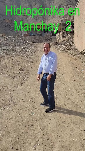 Hidroponika on TikTok