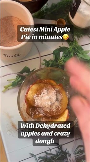 Mini Apple Pie in Minutes! 🍎 Using Dehydrated Apples + Crazy Dough”