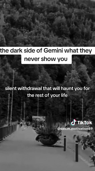 zodiac sign ☢️ (@zodiac.q7)’s video of Geminis
