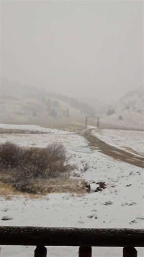 Catch n cook Deer fresh off the mountain ! #DEERHUNTING#hunting#catchncook