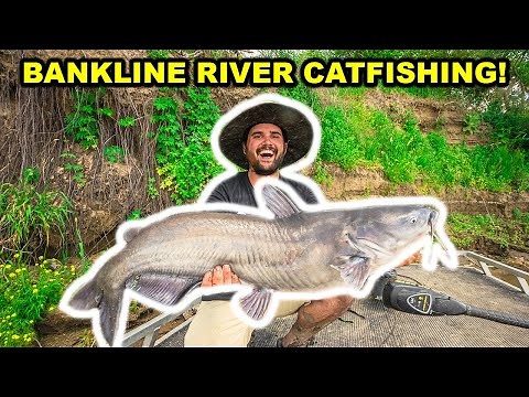 BANKLINE Fishing BIG CATFISH on the RIVER!!! (Catch Clean Cook)
