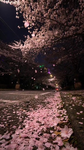 Beautiful Japanese Landscapes