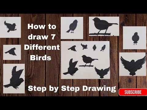 How to Draw Sparrow|different ways|Step by Step| Realistic Bird Drawing Tutorial for Beginners #art