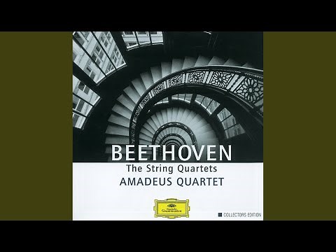 Beethoven: String Quartet No. 14 in C Sharp Minor, Op. 131: VII. Allegro