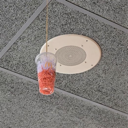 Atlas Soundolier & Muzak Ceiling Speakers in McDonald's