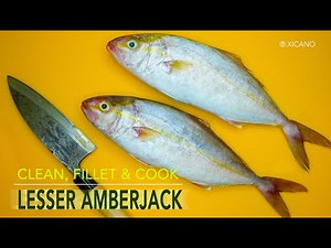 CLEAN, FILLET, & COOK ||LESSER AMBERJACK || CRISPY AND BUTTERY FRIED FISH W/ SWEET POTATO FRIES