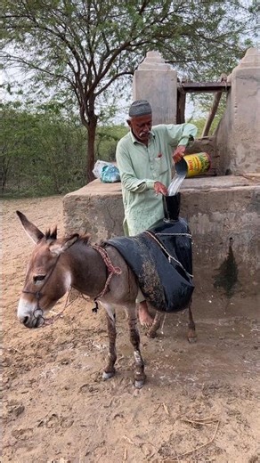Village Man Riding a Donkey – Real Rural Life Moments