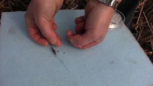 How to Tie a Single Uni-Knot and When to Use a Single Uni-Knot