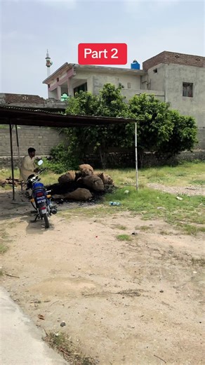 Banana Pranks on TikTok