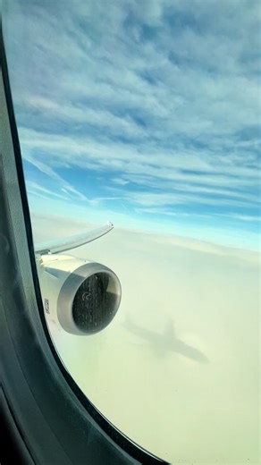 84K views · 1K reactions | Watching the shadow of our 787 Dreamliner above the clouds — with a halo effect surrounding it. Who knows what causes this phenomenon? MUC ✈ MAD Seat 4A Boeing 787-9 Dreamliner EC-NGS 5 Years Old #orlandojets #fblifestyle #boeing #787 #dreamliner #clouds #windowview #flying #engine | OrlandoJets | Facebook