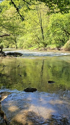 8.3K views · 428 reactions | Je vous transporte dans une ambiance de sérénité Jurassienne absolue au bord de la Valouse  #emotionjura #soleil #nature #jura #LeJura #natural #eau #riviere #valouse @super fans Jura Tourisme Terre d'Émeraude Tourisme | Emotionjura | Facebook
