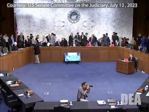 DEA: Fentanyl-Related Substances Circumvent the Law