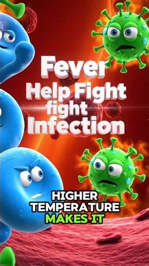 How Your Immune System Creates a Fever