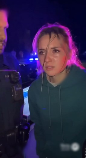 the Most Painful DUI Stop | Police Talk Meme