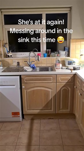 Fangsnfeathers1 (@fangsnfeathers1)’s videos with original sound - Fangsnfeathers1