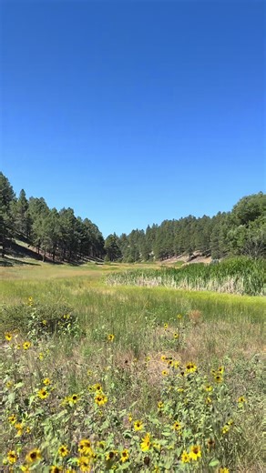 Just like that, my problems disappear.🦋 #travellife #viral #fyp #nature #travel