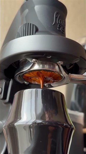 Espresso workflow with Flair58+2 & Normcore tools #espresso #coffee