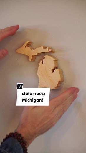 Michigan's State Tree: Eastern White Pine Overview