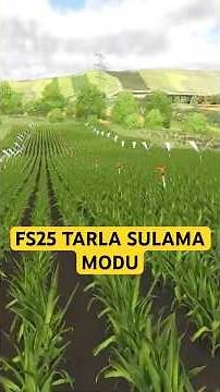 I watered corn with the Farming Simulator 25 field irrigation mod #55ragnar #farmingsimulator25 #...
