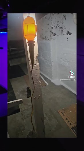 #freshand clean#fresh walls and floors