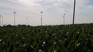 ⚾🌽 To celebrate the inaugural MLB Field of Dreams game, artists from across the country are creating Topps Project 70 artwork for a commemorative trading card set. Tune-in Thursday @ 7pm ET on FOX for New York Yankees vs Chicago White Sox. #MLBatFieldOfDreams MORE: https://bit.ly/3yNEKTy | FOX 29