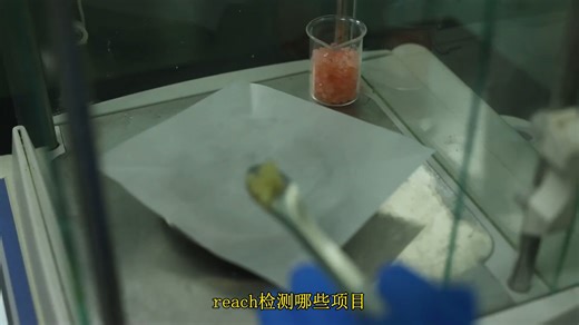 reach检测哪些项目？