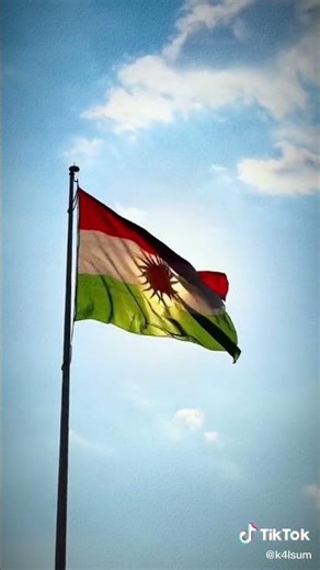 17/12/2025 💚🌼❤