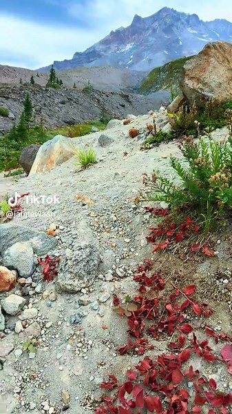 Exploring Oregon's Beautiful PNW Hiking Trails