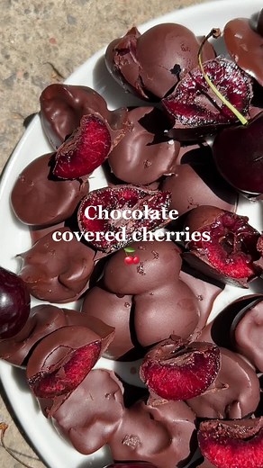 Chocolate Covered Cherries! 🍒 Make fresh summer cherries even better by coating them in chocolate! This simple 3-ingredient recipe doesn't require any baking and can be made in just 15 minutes. You won't be able to stop eating them! They are gluten-free, dairy-free, and vegan. SAVE this post and find the recipe in my bio ❤️ https://oliviaskitchen.com/chocolate-covered-cherries/ . . . #cherryseason #cherrytree #cherry🍒 #chocolatecoveredcherries #chocolatefruit #chocolatelover #chocolatedessert