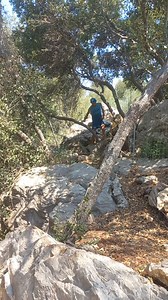 59K views · 666 reactions | La répétition de passages techniques pour gagner en fluidité, et donc en économie d'énergie, représente une bonne part de mon entraînement. Ici, un peu à l'ombre par près de 40 degrés, je cumule 1000m+ en 8 km d'obstacles rapprochés. Effinov Sport , #unifertravaux, Team Globetrailers , La Saine Assiette Coaching alimentaire, Running Conseil Béziers-Colombiers , Echappée Belle | Antoine Guillon | Facebook