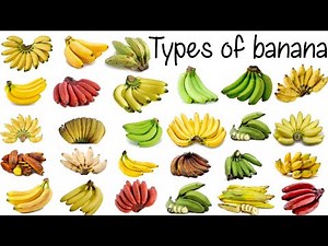 Types of Banana vocabulary collections with Tamil meanings